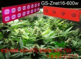 600W Medical Flower Plants Grow & Flower LED Grow Light Panel