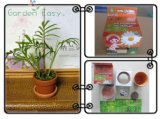 3 Inch DIY Garden Terracotta Pot (001004) 