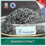 100% Nature Organic Fertilizer Seaweed Extract