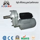 220V Gear Reduction Electric 10rpm Motor