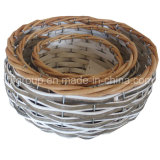 Handcrafted Eco-Friendly Durable Willow Flowerpot