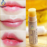 Cosmetic Makeup Beauty Color Changing Lip Stick