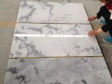 Natural Stone Marble Granite Limestone Travertine Flooring
