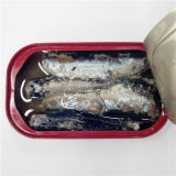 Canned Sardine 125 Grams Club Can in Oil