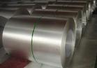 Coated Steel Coil (44)