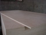 Top Quality Marine Plywood