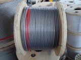 PVC Coated Wire Rope (AISI304, 316)
