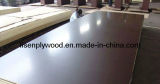 Black Film Faced Plywood for Construction