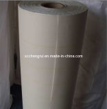 Nmn Insulation Paper with Polyester Film