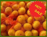 List of Yellow Citrus Fruit Baby Mandarin Orange