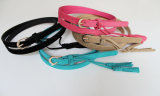 Fashion Skinny Belt with Candy Color
