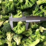 Supplying High Quality IQF Frozen Broccoli
