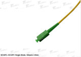 LC/Sc/FC/St Standard Fiber Patch Cord 1m 2m 3m, Customized Length Master