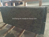 Olive Green Granite for Tile Slab Countertop
