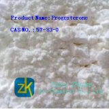 High Purity Steriod Hormone of Progesterone