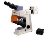 Bestscope BS-2036F (LED) Fluorescent Biological Microscope