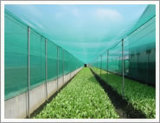 Anti Insect Netting (402515)