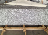 China Granite G439 Slab & Tiles, China Grey Granite