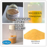 Agrochemical Insecticide Product Nitenpyram (10%AS 95%TC 60%WP)