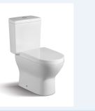 New Arrival Chaozhou Toilet CE-T199