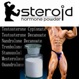 Muscle Building Testosterone Sustanon 250 Steroids Powder