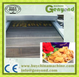 Sliced Fruit Continuous Drying Machine