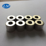 Custom Strong Sintered Ring NdFeB/Neodymium Magnet (DRM-014)