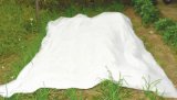 30GSM White PP Nonwoven Fabric Product- Sheet