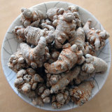 Wenshan Agricultural Cooperatives Supply Natural Sanchi Extract Original Medicine Notoginseng Root Flower
