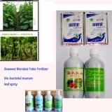Algae Bio-Organic Watering Manure----------Leaf Fertilzer
