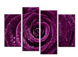 Dark Purple Rose Canvas Prints Wall Art Home Decoration
