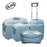Cheap PP Travel Suitcase PP Luggage Set 2013 Hot Sale Dl403
