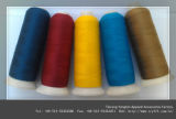24s/2&42s/2 Wool and Acrylic Embroidery Yarn/Thread