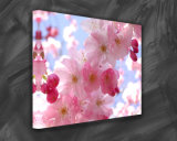 Flower Waterproof Print Canvas (SJMD3723)