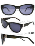High Quality Acetate Optical Sunglasses (H- 831)