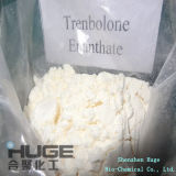 Raw Material Steriod Powder Trenbolone Enanthate Pharmaceutical Chemicals