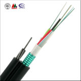 Fiber Optic Cable Gytc8s Self Supporting for Communication (GYTC8S)