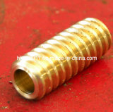 Brass Machined Stepper Motor Lead Screw, Brass Thread Rod