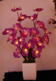 Holiday Decoration Flower Light with LED