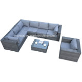 Indoor & Outdoor Rattan Furniture for Living Room with Aluminum / SGS (5004)