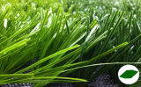 Synthetic/Artificial Grass Yarn with Md
