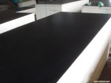 Black Color Film Faced Plywood with Phenolic Glue