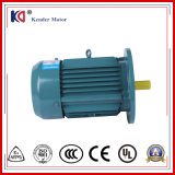 Electric AC Motors Yx3 Series 3 Phase Asynchronous Motor