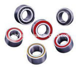 Well Knowned Automobile Hub Bearing (DAC40750037)