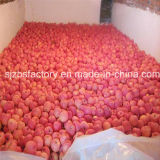 2015 Fresh Fruit FUJI Apple From China