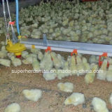 New Type Stainless Steel Chicken Water Line for Isolated Farm
