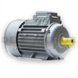 Three-Phase Asynchronous Electric Motor (Ms6334-250W-B3)