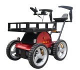 Electric Wheelchair (OB-EW-030)