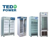 Pharmacy Refrigerator 300liter