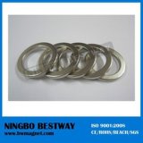 First Class Factory NdFeB Custom Ring Magnet